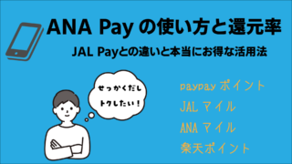 ANA Payの使い方と還元率|JAL Payとの違いと本当にお得な活用法
